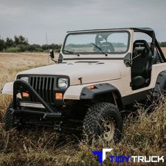 tidy-truck-7-5d0265b7bff81-350x350.jpg