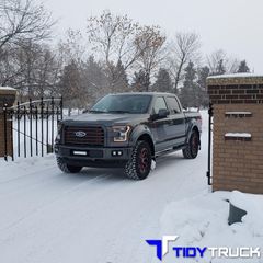 tidy-truck-16-5d0265cde2831.jpg
