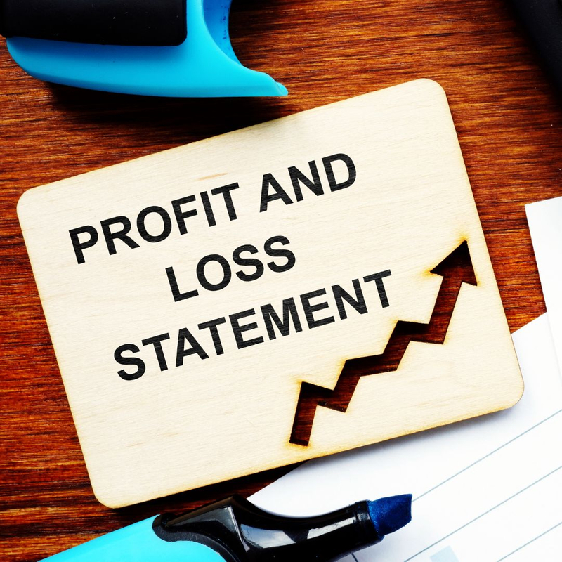 profit and loss statement