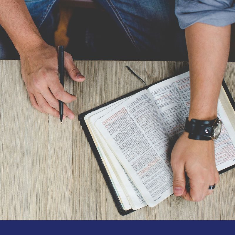 person studying the bible