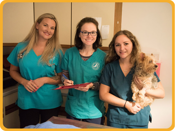 Vetrinary Staff at Duck Creek Animal Hospital