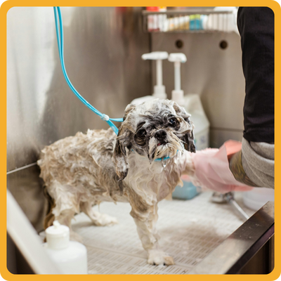Bathing services.