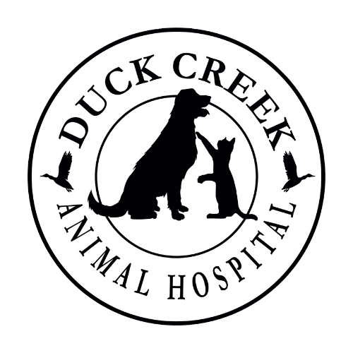 Duck Creek Animal Hospital