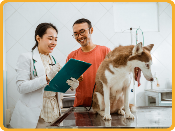 Veterinarian discussing results with client and their pet.
