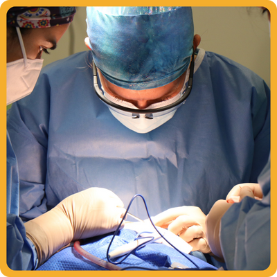 Surgery services