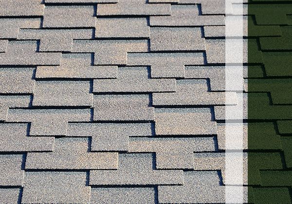 roof shingles