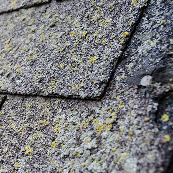 Signs Your Shingle Roof Needs Professional Attention 1.jpg