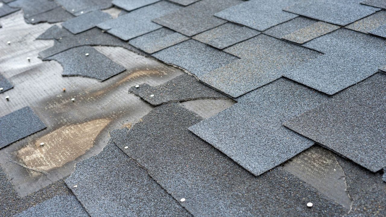 Signs Your Shingle Roof Needs Professional Attention hero.jpg