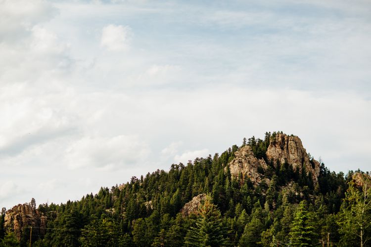 Mallory Munson Photography 