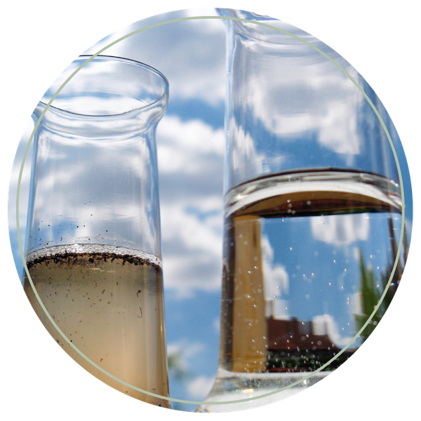 Clean and dirty water in test tubes