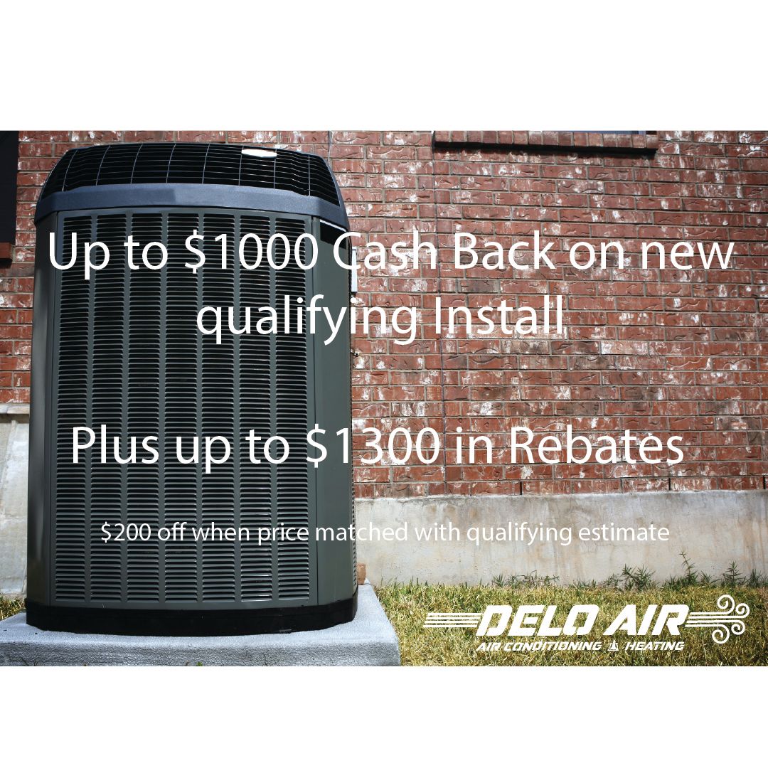 promo black friday-100.jpg