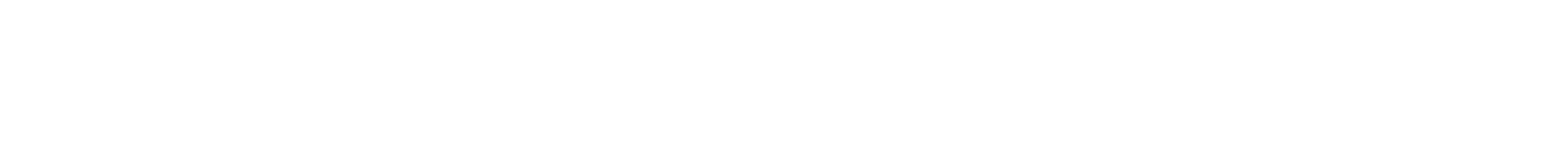 border (1).png