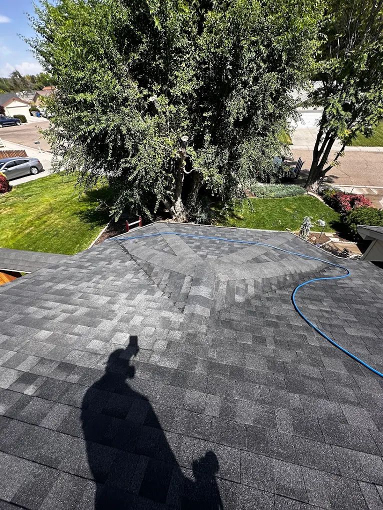 hooverremoverpros (1).jpg