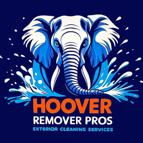 Hoover Remover Pros