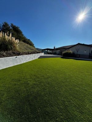 WhatsApp Image 2025-04-22 at 14.23.10_6eb696d3.jpg