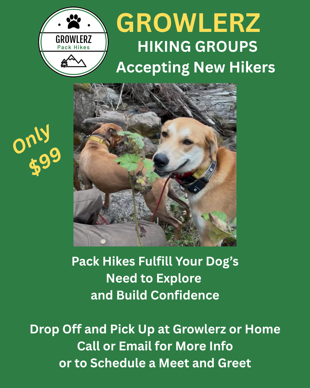 Growlerz Pack Hikes Flyer (updated).png