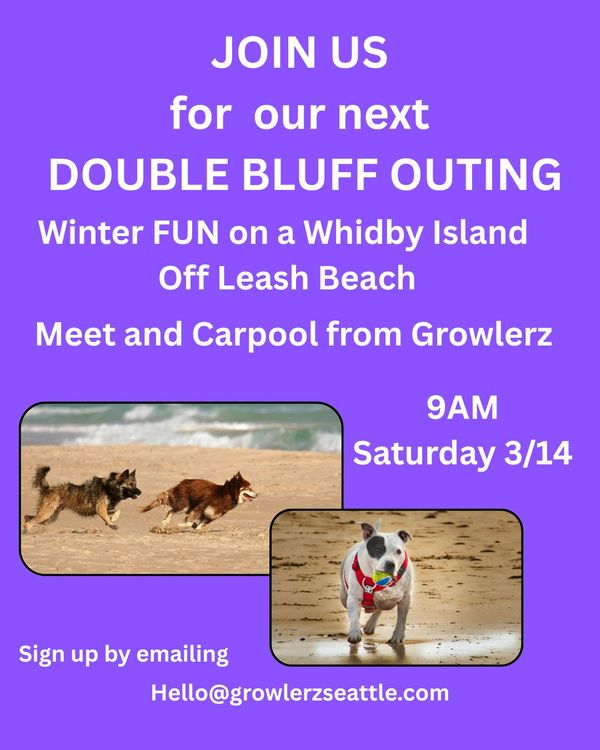 Your paragraph text - 2026-02-21T172615.570.jpg