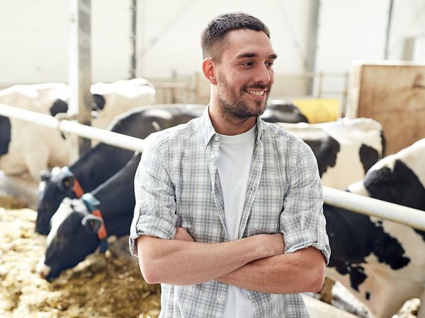 happy smiling young man or farmer with herd of cows in cowshed on dairy farm