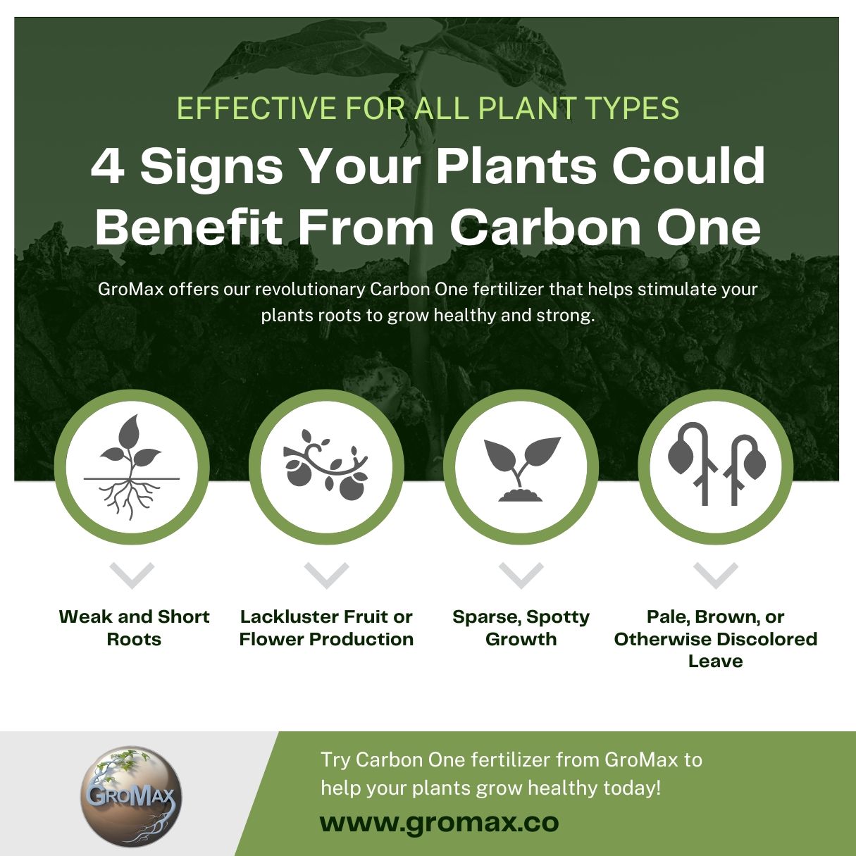 4 Signs Your Plants Could Benefit From Carbon One Infographic