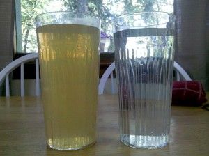 rusty-water-in-glass-300x224[1].jpg
