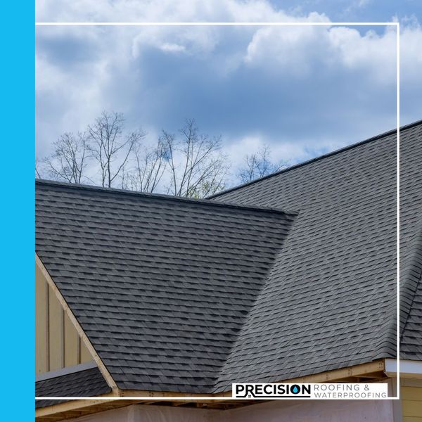 Presidential Shingles1.jpg