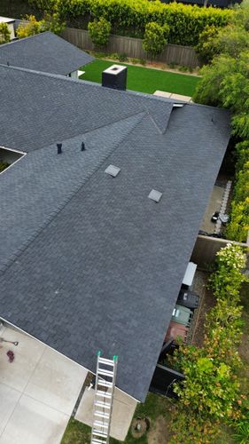 Presidential Shingles4.jpg