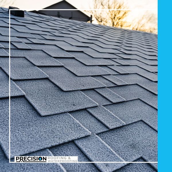 Presidential Shingles2.jpg