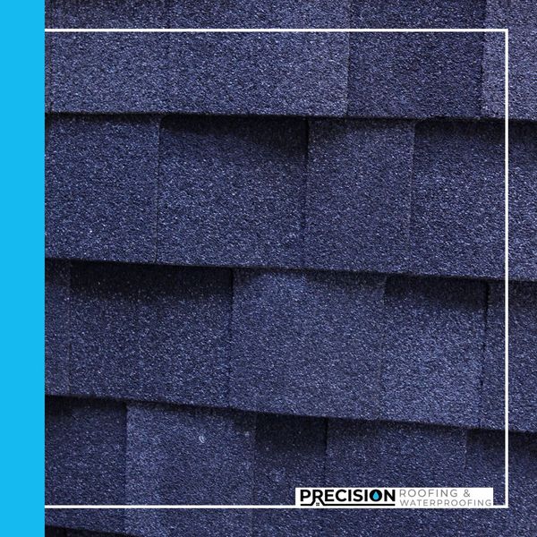 Presidential Shingles3.jpg