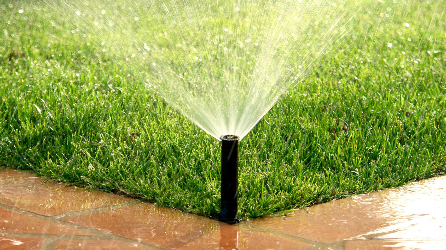 sprinkler watering grass