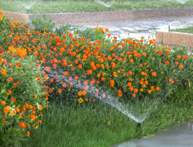 blur-water-motion-from-sprinkler-garden-against-background-flowersblurred-action-watering-flowers.jpg
