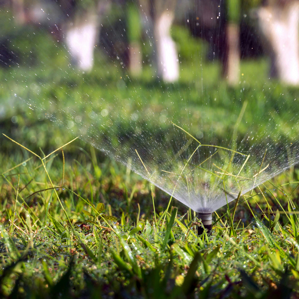 The Benefits of Custom Irrigation Design for Your Lawn - Image 1.png