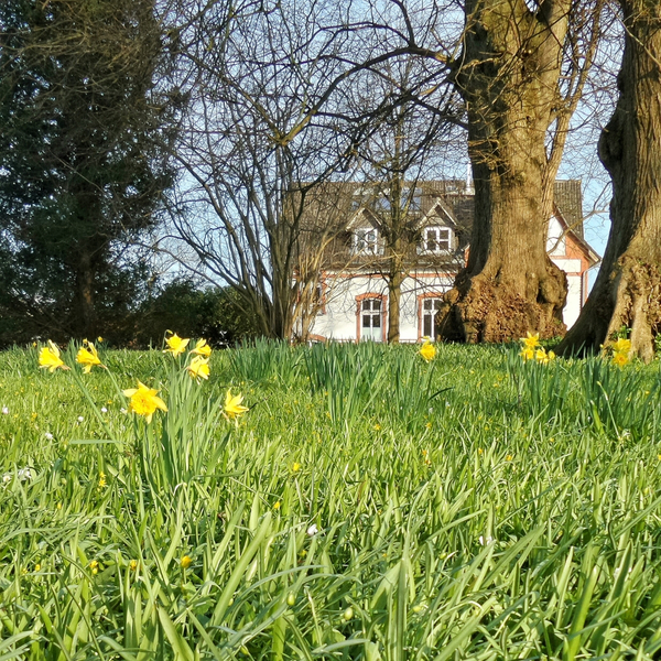 image a spring yard