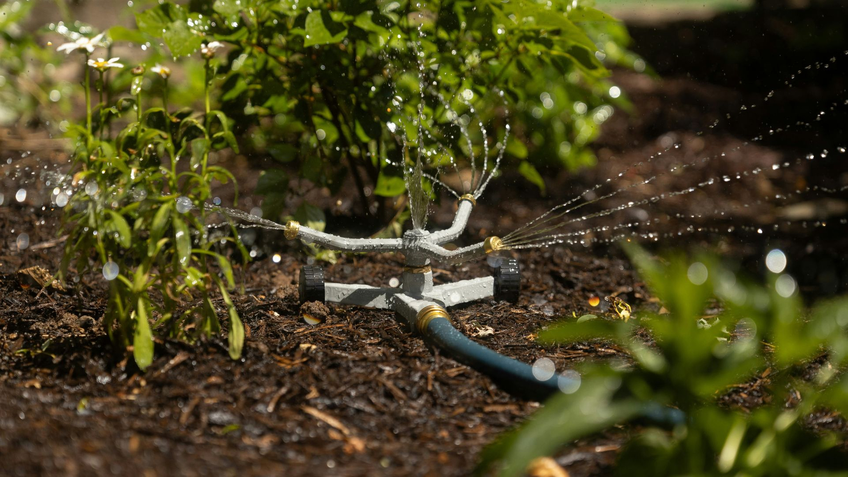 sprinkler