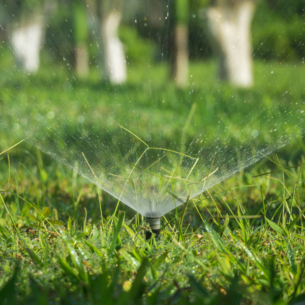 Garden Hose vs. Irrigation System_ Which Really Uses Less Water_ 2.png