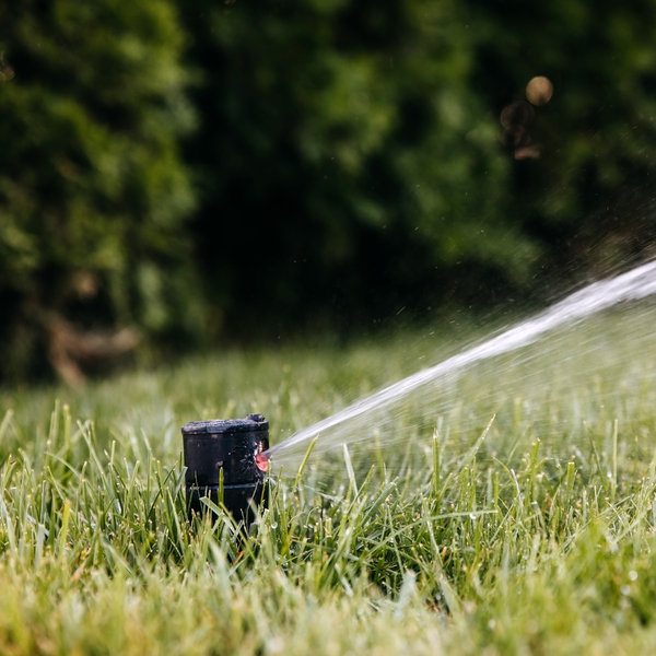 image of a sprinkler