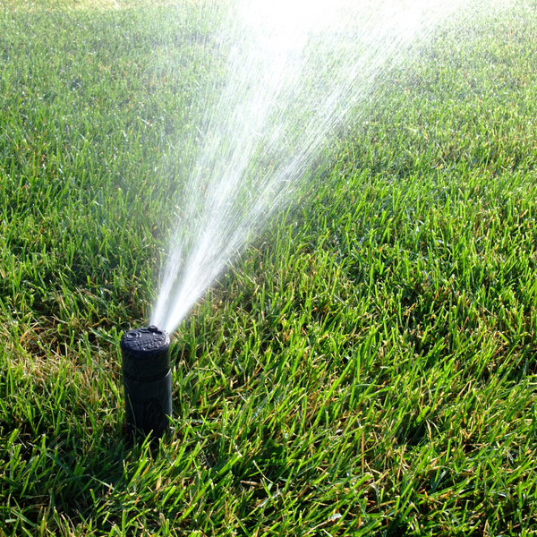 The Benefits of Custom Irrigation Design for Your Lawn - Image 4.png