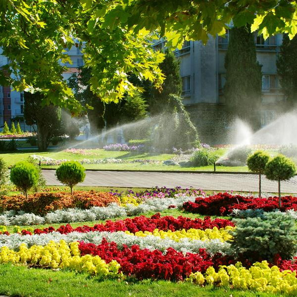The Benefits of Custom Irrigation Design for Your Lawn - Image 3.png