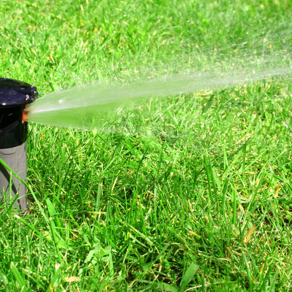 sprinkler watering grass