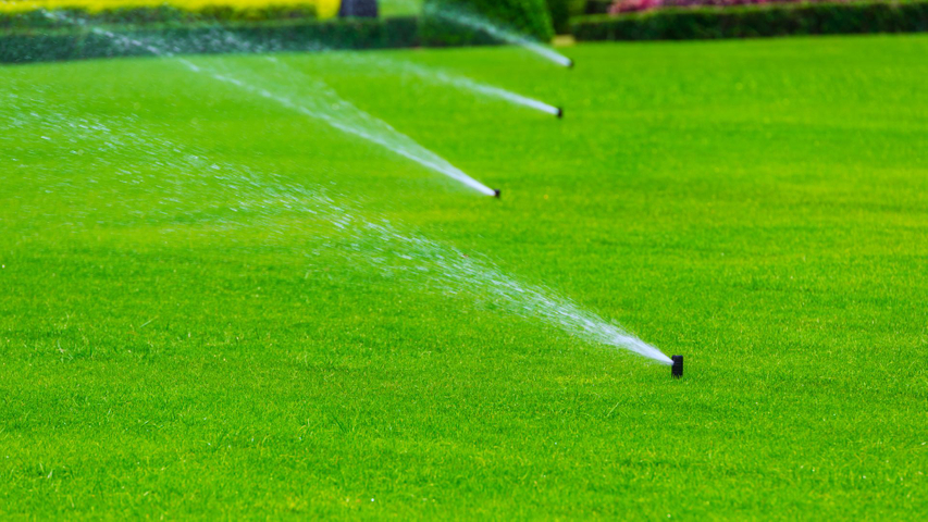 Deciding on an Irrigation System Installer - Featured Image.jpg