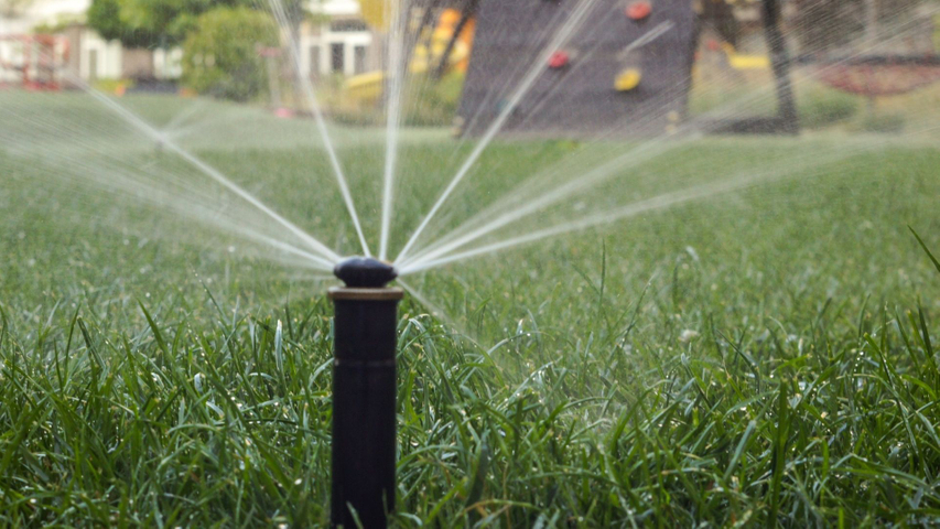Garden Hose vs. Irrigation System Which Really Uses Less Water - Featured Image.jpg