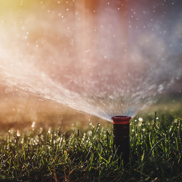 AdobeStock_337072088.jpeg