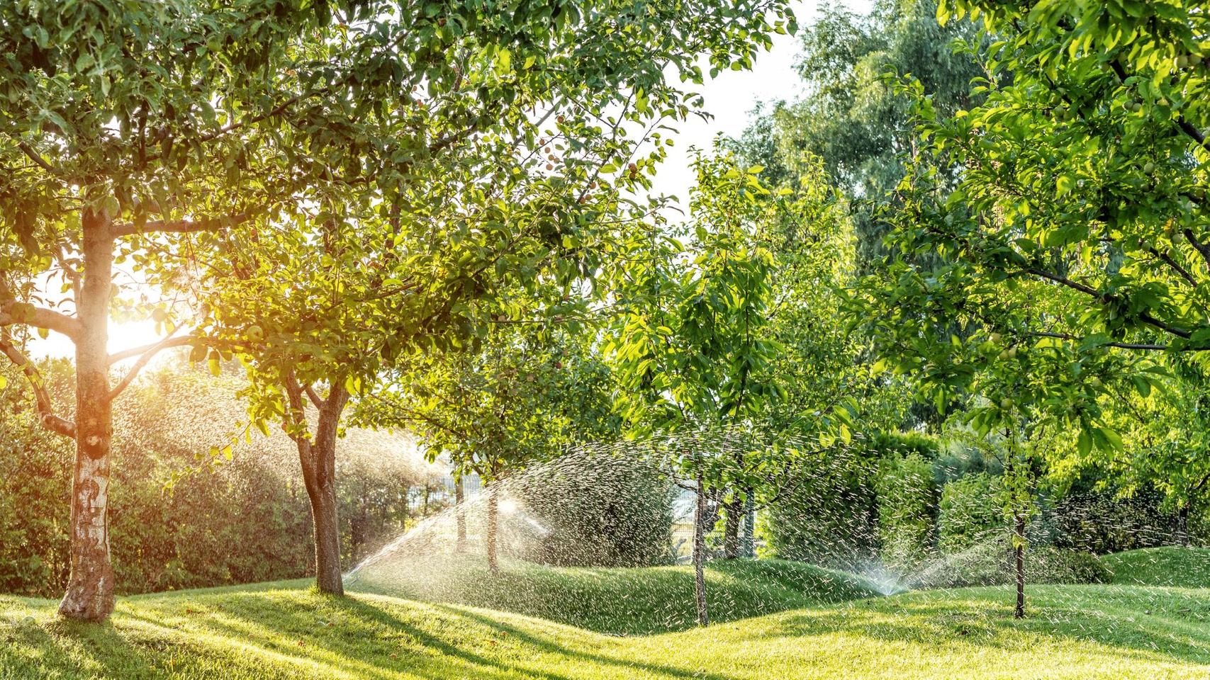 grassy areas with trees and sprinkler going off