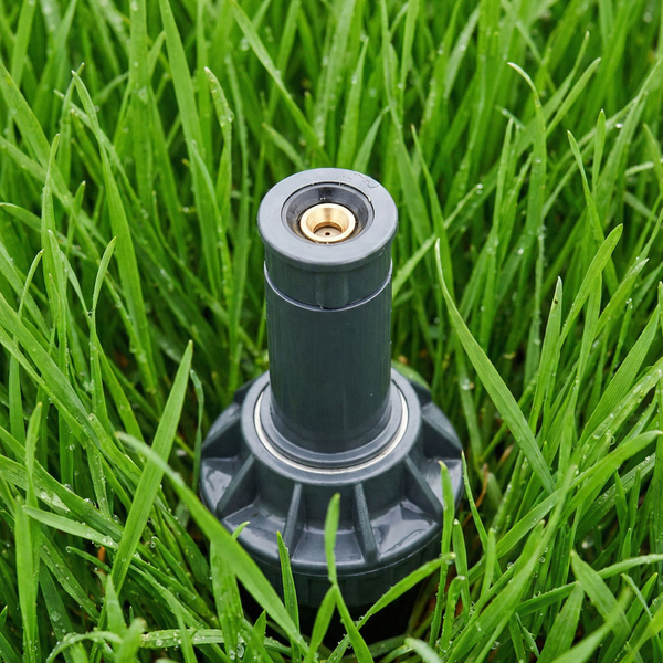 Blog ImagesArtboard 1.jpg