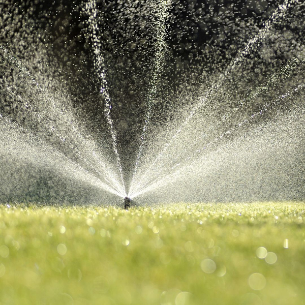 sprinkler