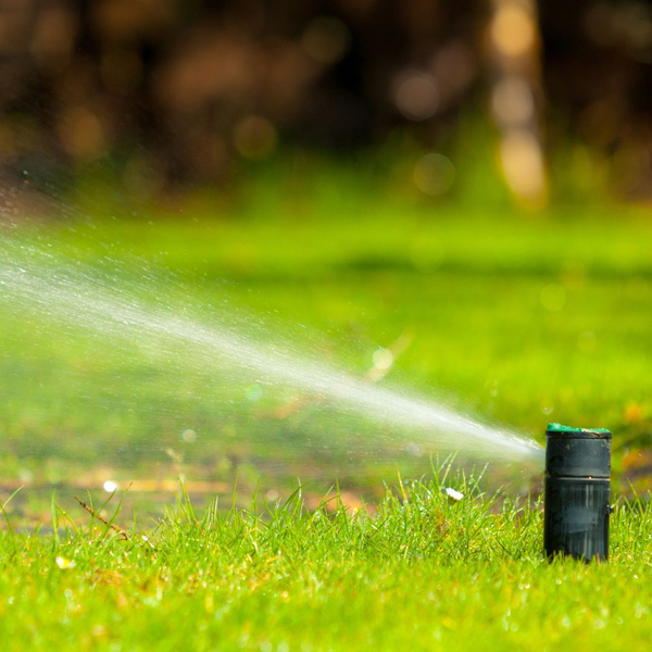 sprinkler watering grass