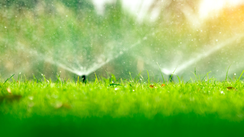 April 2025 Blog Hero.jpg