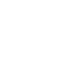 Icon of a checkmark
