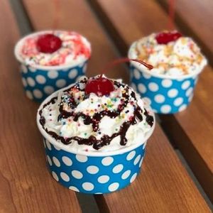 Ice Cream and Churros Combo Cup Ice Cream and Churros Combo Cup
