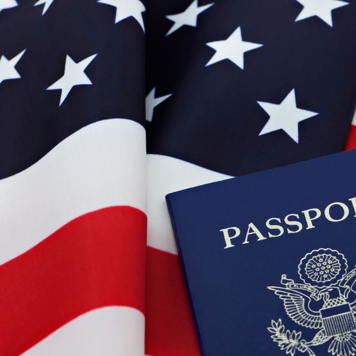 passport on flag