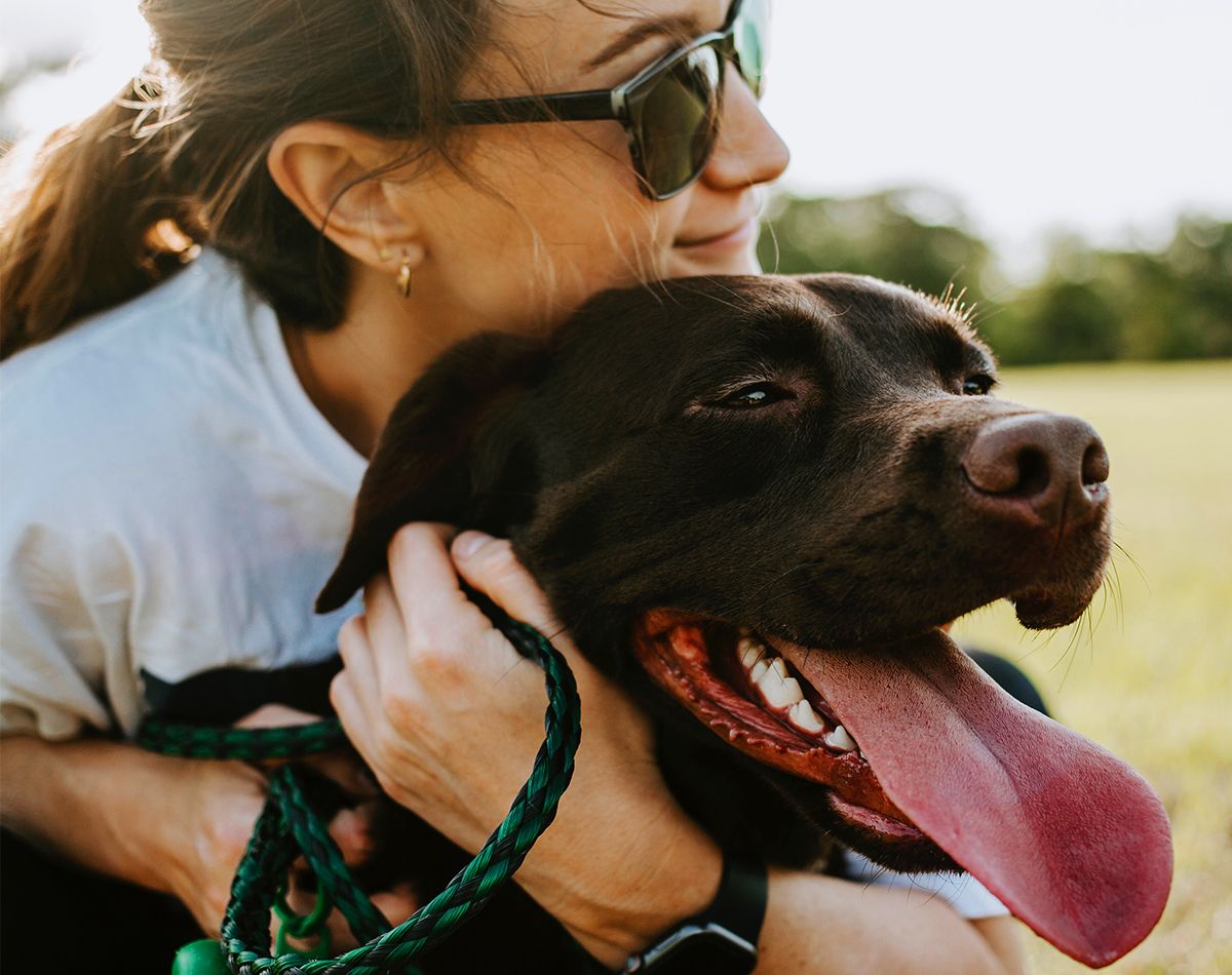 Owner hugging dog